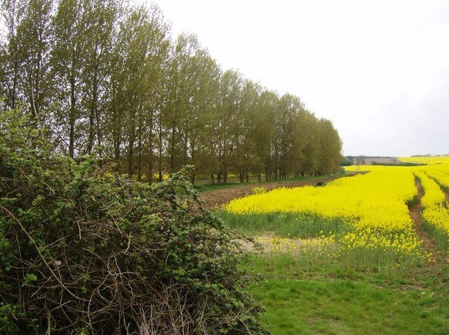 Foto „Brampton Ash“ von Graham Horn (CC BY-SA)/zugeschnittenes Original