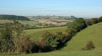 View from B3110 Looking north west toward Baggridge, Wellow is in the valley beyond the hill on the skyline.