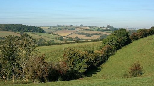 Photo "Norton St. Philip" by Maurice Pullin (CC BY-SA) / Cropped from original