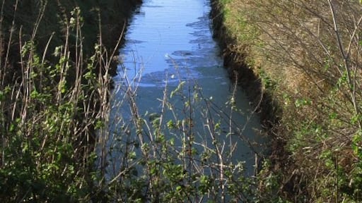 Foto ‘Isleham’ van Alison Rawson (CC BY-SA) / bijgesneden versie van origineel