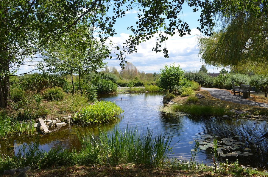 Altkönigstift, Park
