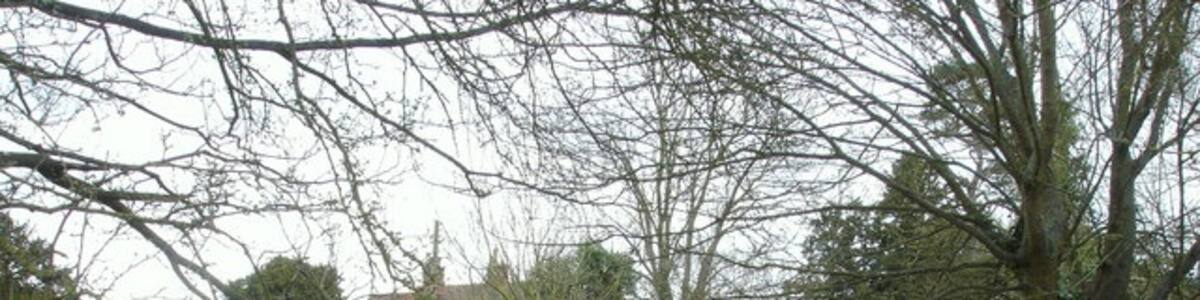 Photo "Pond behind Westerfield church" by Oxymoron (Creative Commons Attribution-Share Alike 2.0) / Cropped from original