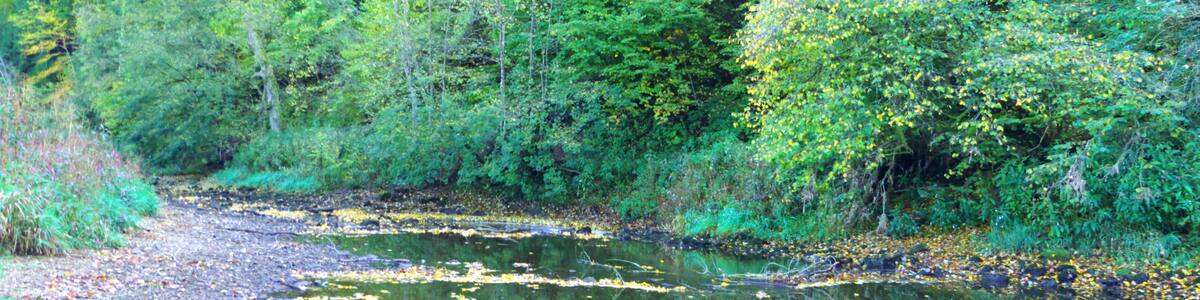 Photo "The Water Disapears" by Dg-505 (Creative Commons Attribution 3.0) / Cropped from original