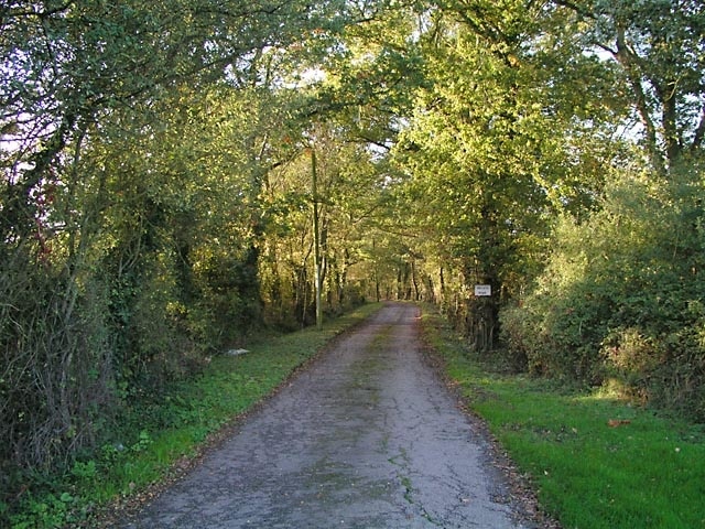 Entrance to Perrylands Seen from the A24.