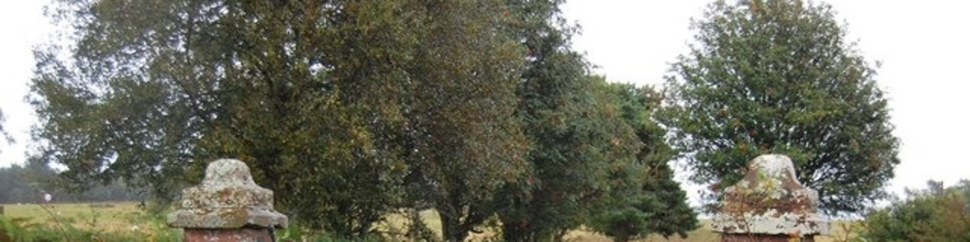 Entrance to Broom Rigg