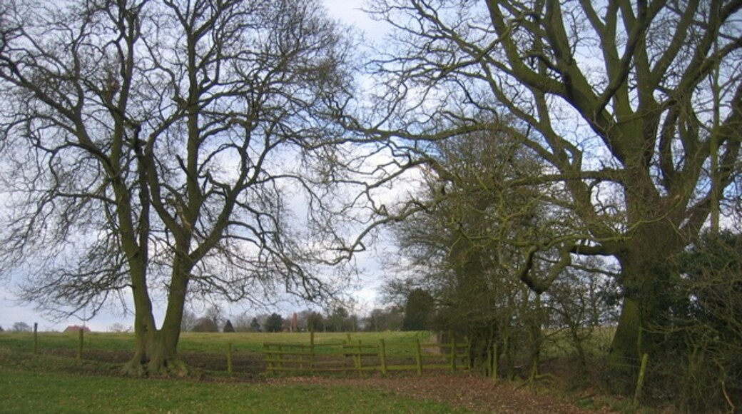 Foto “Cookhill” tomada por David Stowell (CC BY-SA); recorte de la original