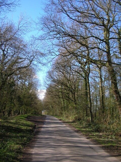 Photo "Catton" by DS Pugh (CC BY-SA) / Cropped from original