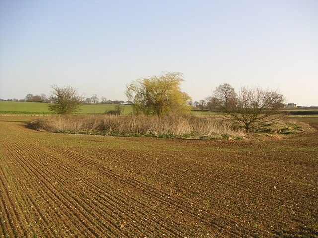 Ảnh "Beachampton" của Mr Biz (CC BY-SA) / Cắt từ ảnh gốc