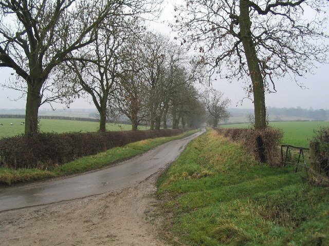 Road to Bulby from Irnham.