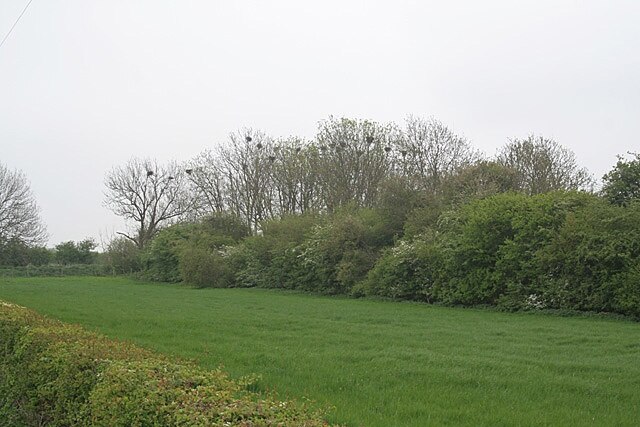 Foto „Ruskington“ von Alan Murray-Rust (CC BY-SA)/zugeschnittenes Original