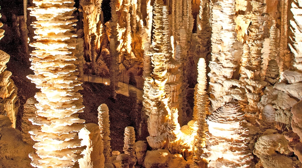 « Grotte de l’Aven Armand», photo de Petr1888 (page does not exist) (CC BY-SA) / rognée de l’originale
