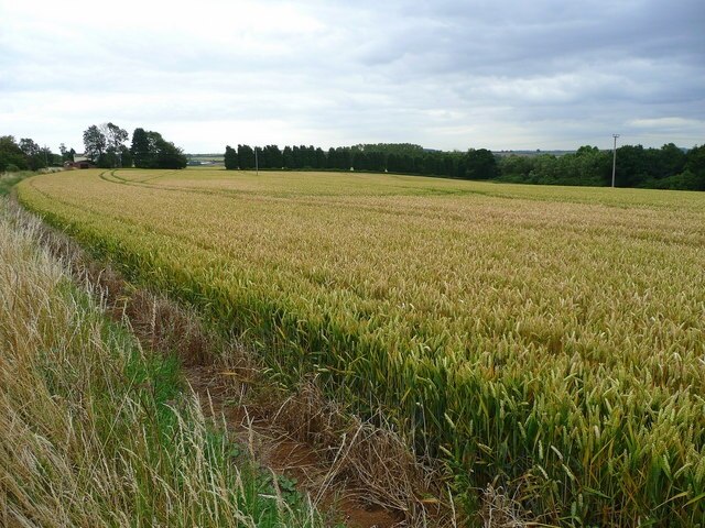 Foto „Great Harrowden“ von Jonathan Billinger (CC BY-SA)/zugeschnittenes Original