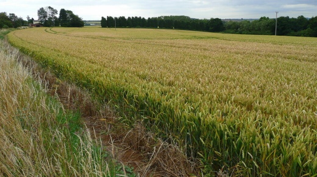 Foto „Great Harrowden“ von Jonathan Billinger (CC BY-SA)/zugeschnittenes Original