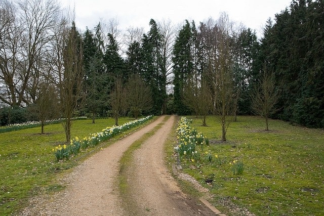 Access road to Heatherlands, Plaitford. This property is accessed via 740378 and was presumably associated with it.