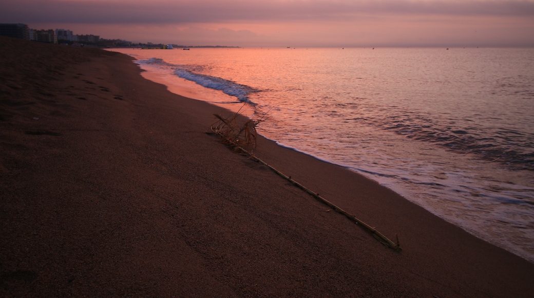 Foto "Playa de Levante" de r_santos (CC BY-SA) / Recortada de la original