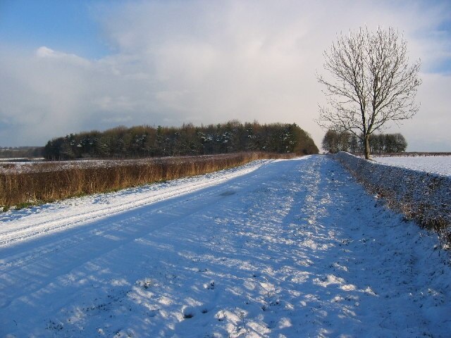 Foto “Etton” tomada por Stephen Horncastle (CC BY-SA); recorte de la original