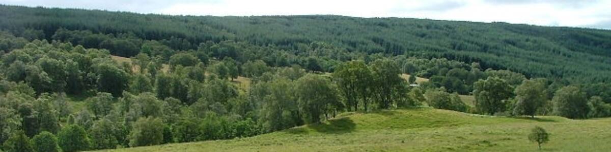 Photo "Grazing Land in Glen Errochty. Looking south east towards Tummel Forest" by Dave Fergusson (Creative Commons Attribution-Share Alike 2.0) / Cropped from original