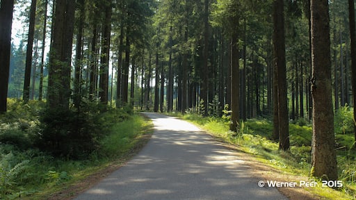 Foto „Lohnsburg am Kobernaußerwald“ von Werner Peer (CC BY)/zugeschnittenes Original
