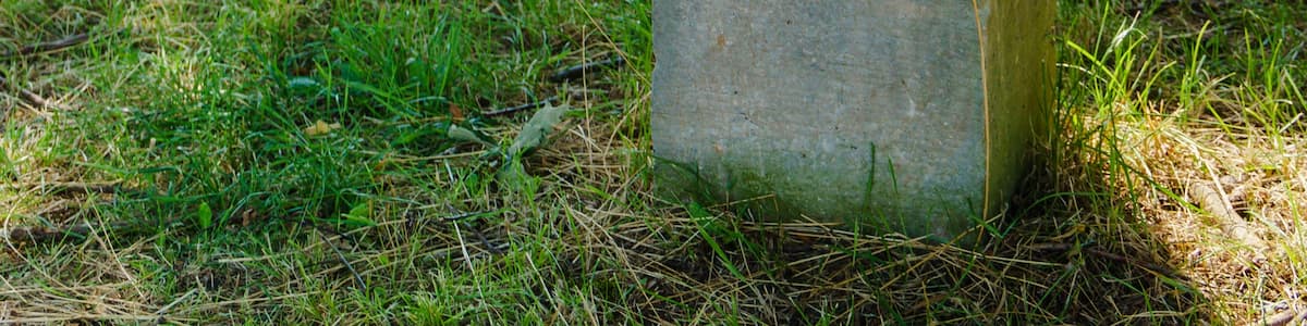 Photo "This media shows the protected monument of Saxony with the ID 09286625 KDSa/09286625(other)." by Radler59 (Creative Commons Attribution-Share Alike 4.0) / Cropped from original