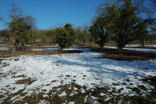 Foto “Wickhamford” tomada por Philip Halling (CC BY-SA); recorte de la original