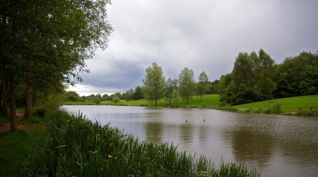 Photo "High Woods Country Park" by Glyn Baker (CC BY-SA) / Cropped from original