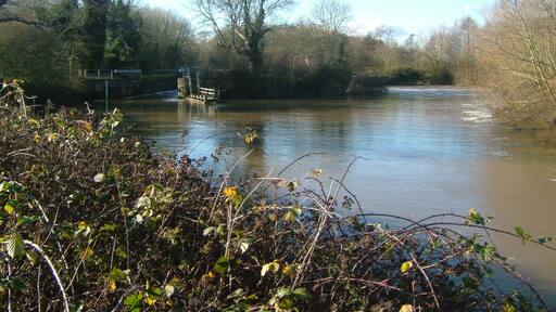 Foto „Capel“ von Clem Rutter, Rochester Kent (CC BY-SA)/zugeschnittenes Original