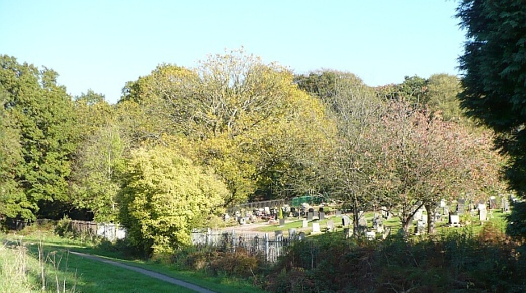 « Allt-Yr-Yn», photo de Robin Drayton (CC BY-SA) / rognée de l’originale