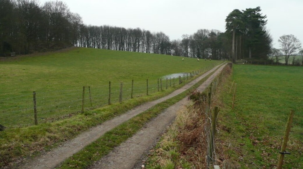 Photo "Westbury" by Jonathan Billinger (CC BY-SA) / Cropped from original