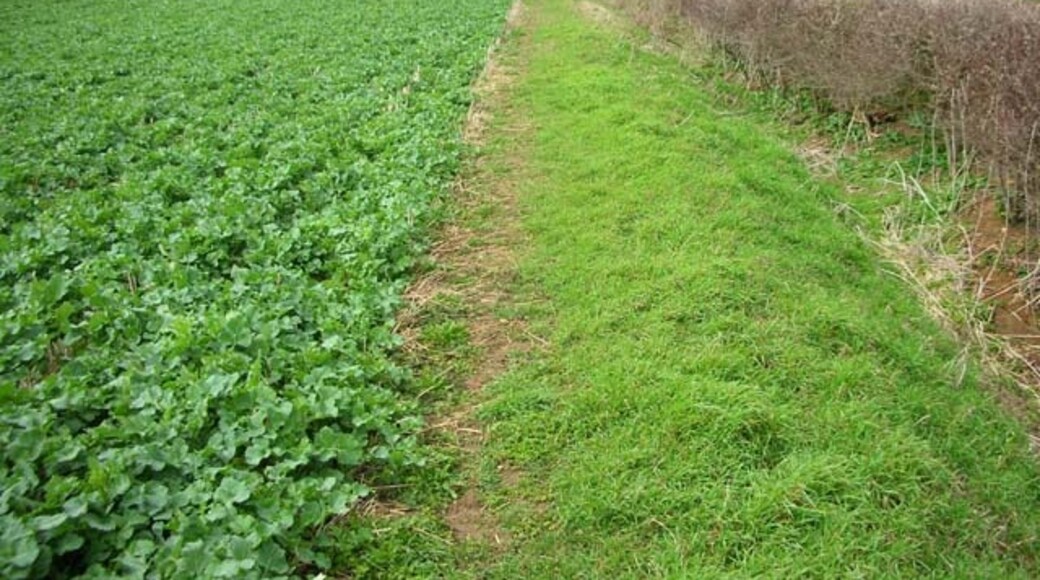 Foto “Titchmarsh” tomada por Will Lovell (CC BY-SA); recorte de la original