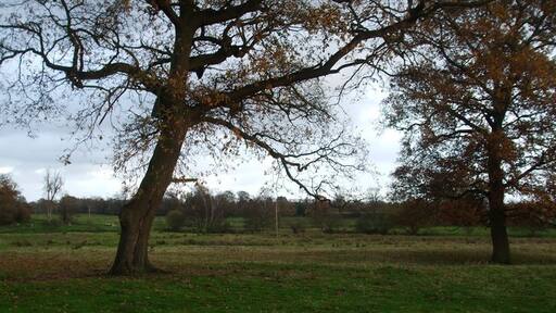 Foto „Sisland“ von Ashley Dace (CC BY-SA)/zugeschnittenes Original