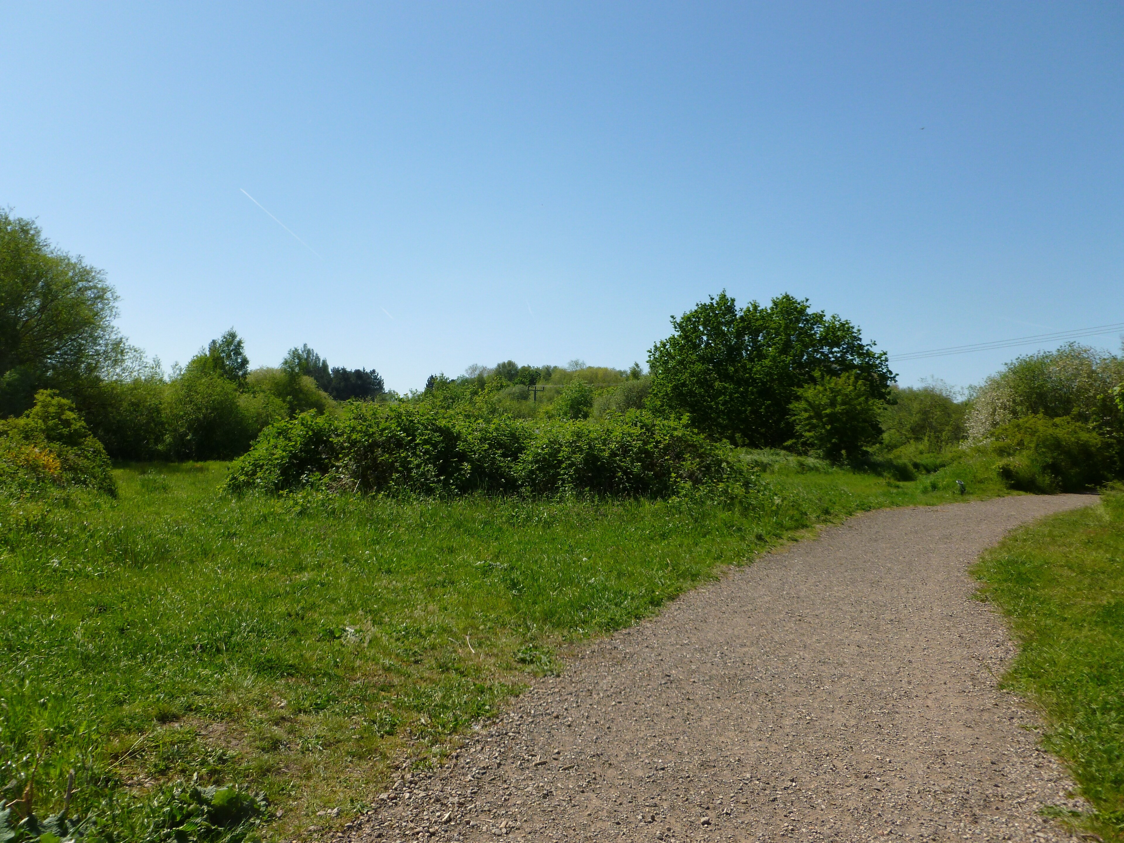 Foto „Sutton“ von Gareth Hart (CC BY-SA)/zugeschnittenes Original