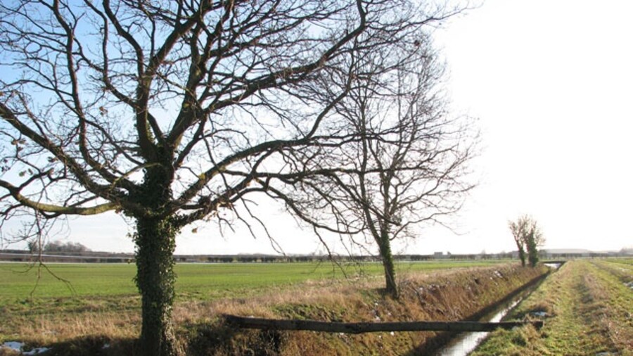 Photo "Tree trunk across drainage ditch A tree trunk has been put across the ditch; I am not sure whether it is meant to serve as a footbridge since no path is crossing here." by Evelyn Simak (Creative Commons Attribution-Share Alike 2.0) / Cropped from original