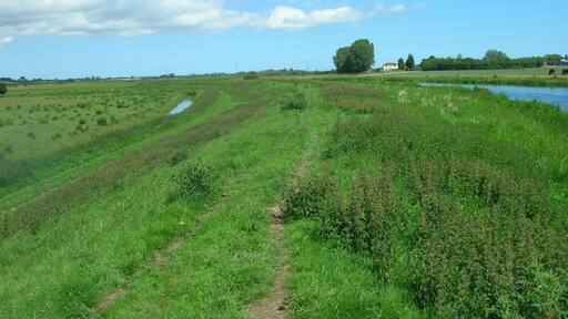 Foto “Hutton Cranswick” tomada por JThomas (CC BY-SA); recorte de la original