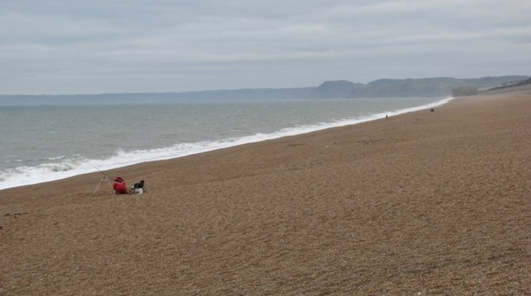 Photo "West Bexington Beach" by Sarah Charlesworth (CC BY-SA) / Cropped from original