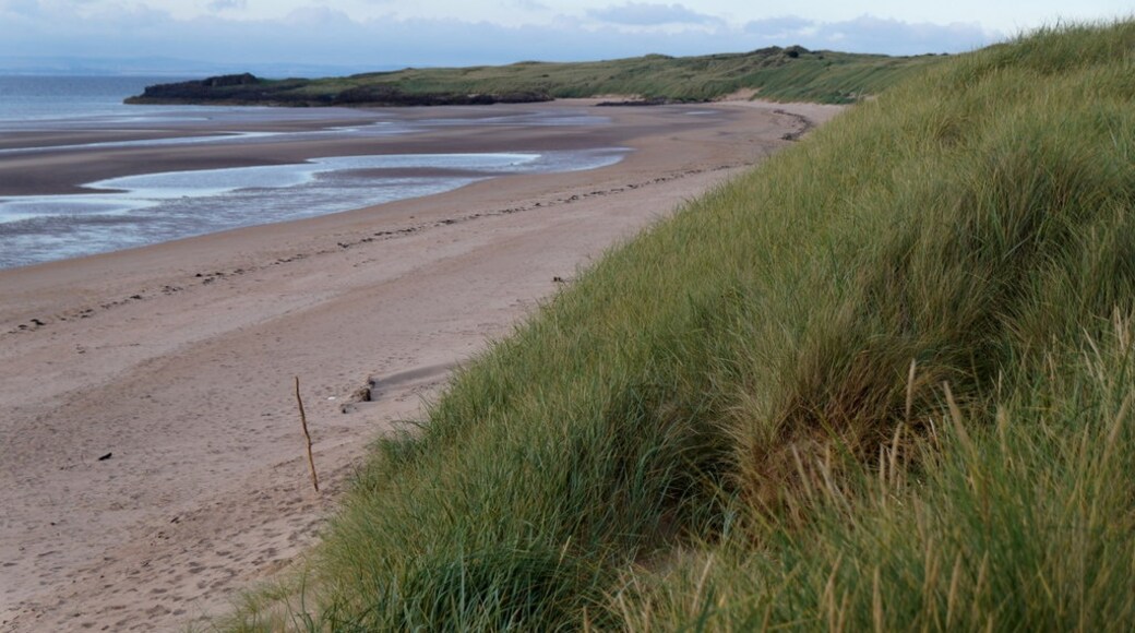 Photo "Gullane Sands" by Mike Pennington (CC BY-SA) / Cropped from original