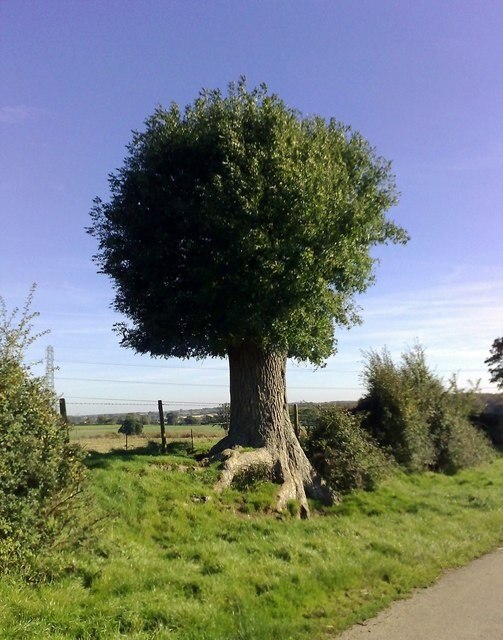 Foto „Foscott“ von mick finn (CC BY-SA)/zugeschnittenes Original