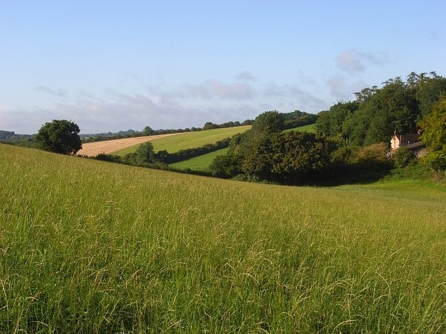 Farmland, Lacey Green Promised Land Farm is just visible to the right. Much of the land is pasture including this field of good quality long grass beside the footpath climbing to the south end of Lacey Green.