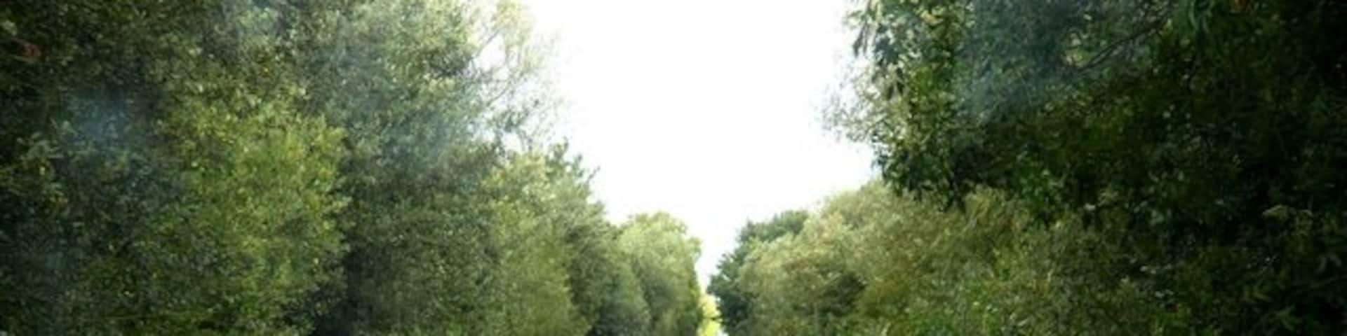 Footpath crossing near Wendlebury