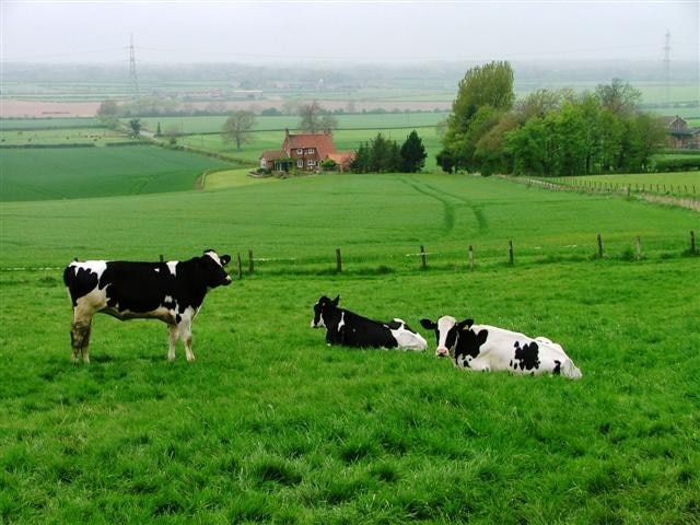 Billede "West Harlsey" af Mick Garratt (CC BY-SA) / beskåret fra det originale billede