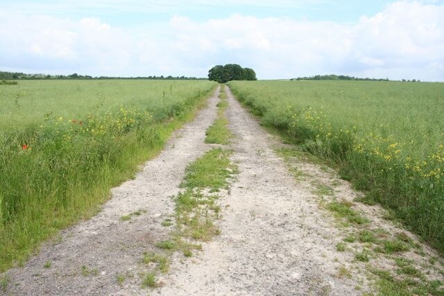 Foto „Newton“ von Duncan Grey (CC BY-SA)/zugeschnittenes Original