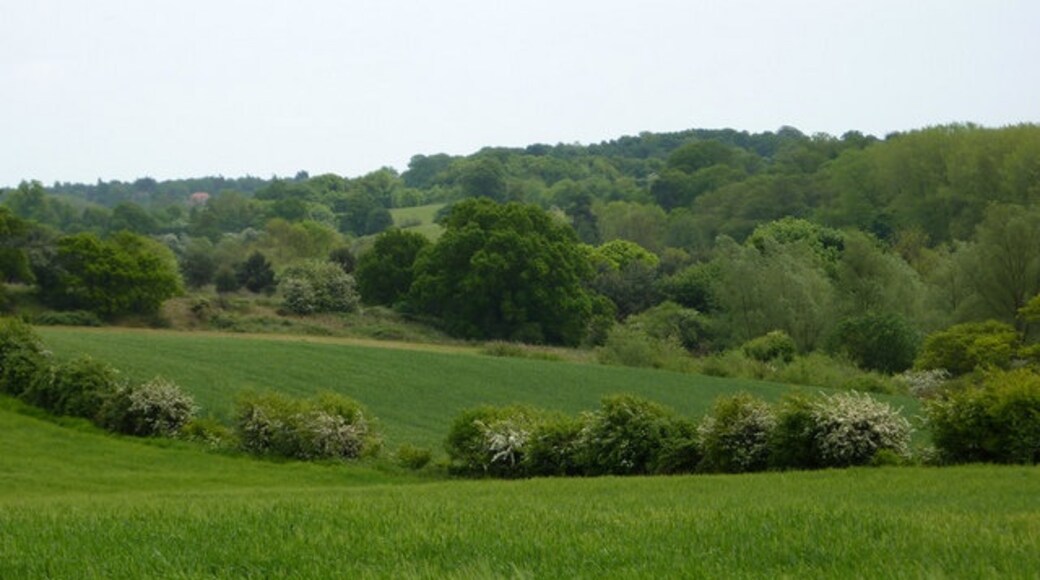 Photo "Tuddenham St Martin" by Andrew Hill (CC BY-SA) / Cropped from original