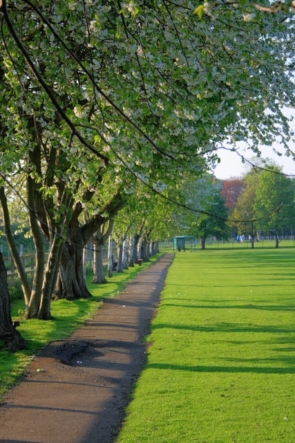 Kuva ”Romanby” käyttäjältä Mick Garratt (CC BY-SA) / rajattu alkuperäisestä kuvasta