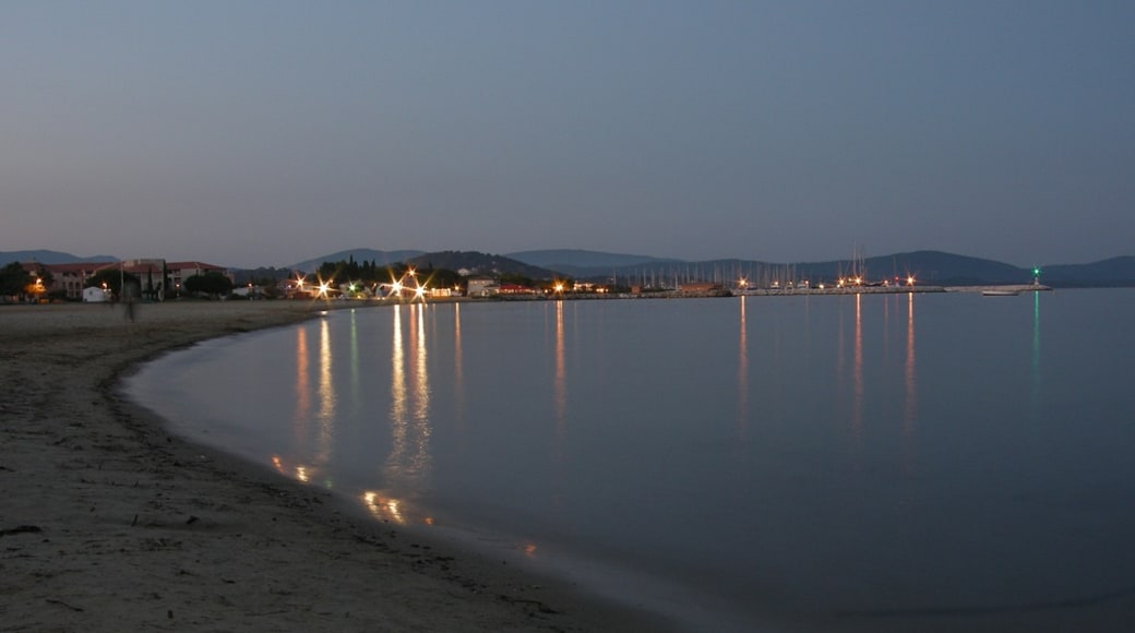 « Miramar Beach», photo de ComputerHotline (CC BY) / rognée de l’originale