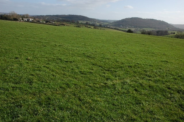 View south from Llangrove View southwards from Llangrove across Whitchurch to the wooded hills at Doward.