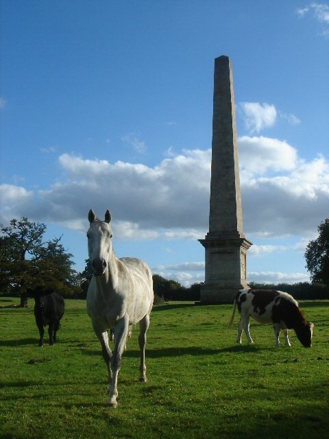 Photo "Chevington" by Bob Jones (CC BY-SA) / Cropped from original