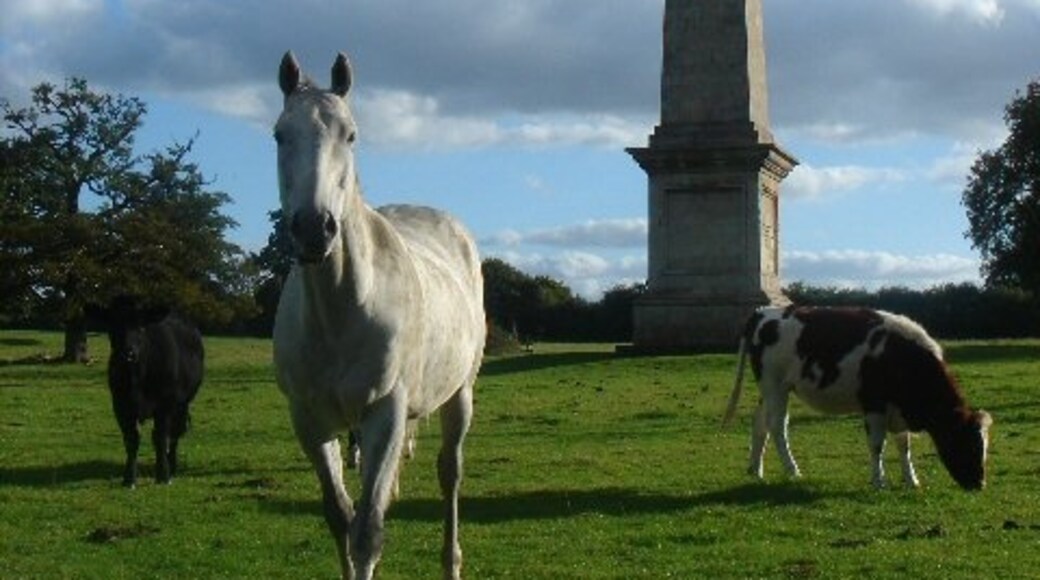 Ảnh "Chevington" của Bob Jones (CC BY-SA) / Cắt từ ảnh gốc