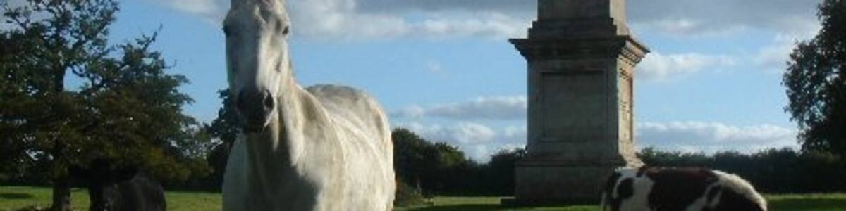 Photo "Memorial to Lord Bristol This obelisk, erected in 1817, commemorates the 4th Earl of Bristol, Frederick Augustus Hervey, who was also Bishop of Derry. It is visible from Ickworth House, rising above the trees of Lowndes Wood. It is a testimony to Lord Bristol's immense popularity within his diocese as the subscribers to the memorial included both the Roman Catholic bishop and the Presbyterian moderator. The inscription on the base begins "Sacred to the Memory of Frederick Earl of Bristol who during XXXV years that he presided over that see, endeared himself to all denominations of Christians resident in that extensive diocese. He was the friend and protector of them all."" by Bob Jones (Creative Commons Attribution-Share Alike 2.0) / Cropped from original