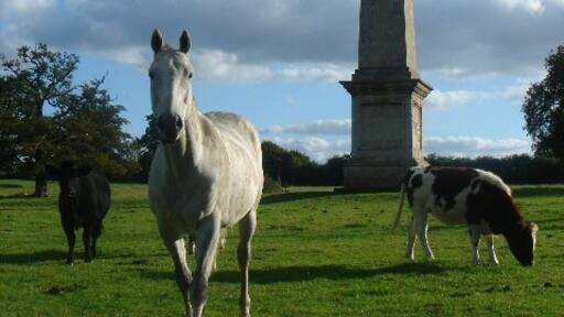 Photo "Chevington" by Bob Jones (CC BY-SA) / Cropped from original