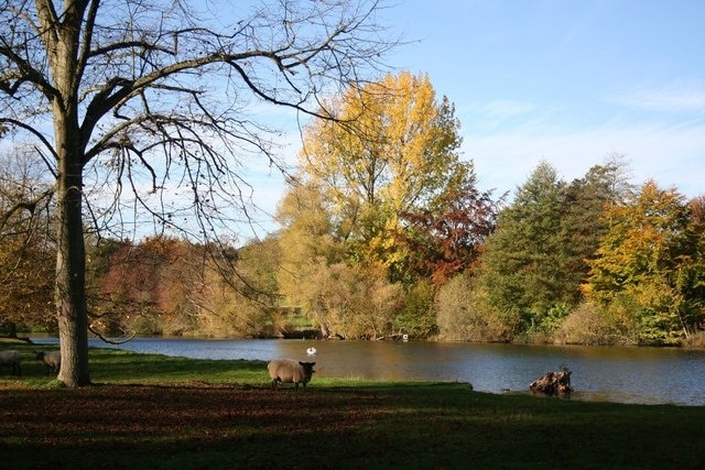 Foto “Careby Aunby y Holywell” tomada por Richard Croft (CC BY-SA); recorte de la original