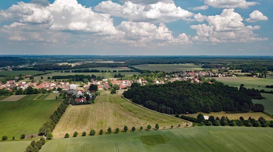 Photo "Hoyerswerda" by PaulT (CC BY-SA) / Cropped from original